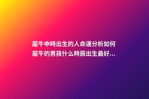 屬牛申時出生的人命運分析如何 屬牛的男孩什么時辰出生最好命 屬牛的男孩什么時候出生好